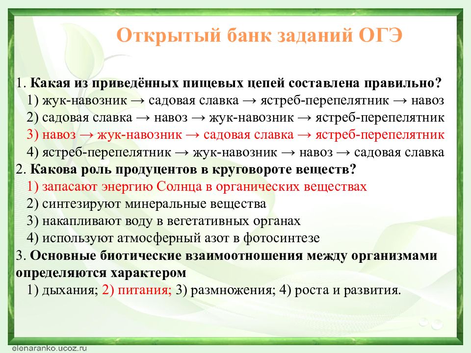 Утром все окна были разрисованы волшебными узорами кто нарисовал эти чудные папоротники