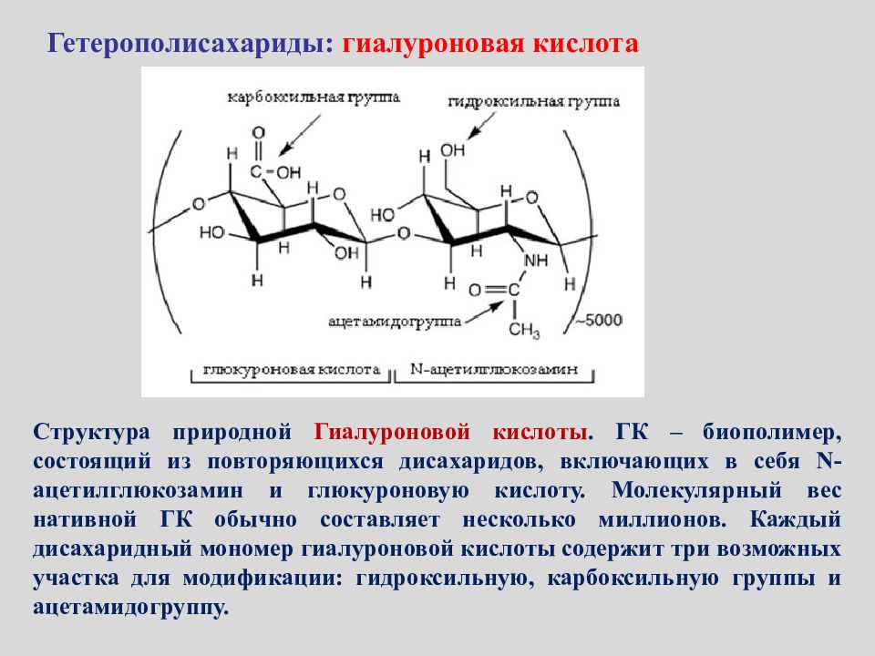 Роль гиалуроновой кислоты. Гиалуроновая кислота биохимия функция. Структурная единица гиалуроновой кислоты. Строение гиалуроновой кислоты биохимия. Гиалуроновая кислота формула структурная биохимия.