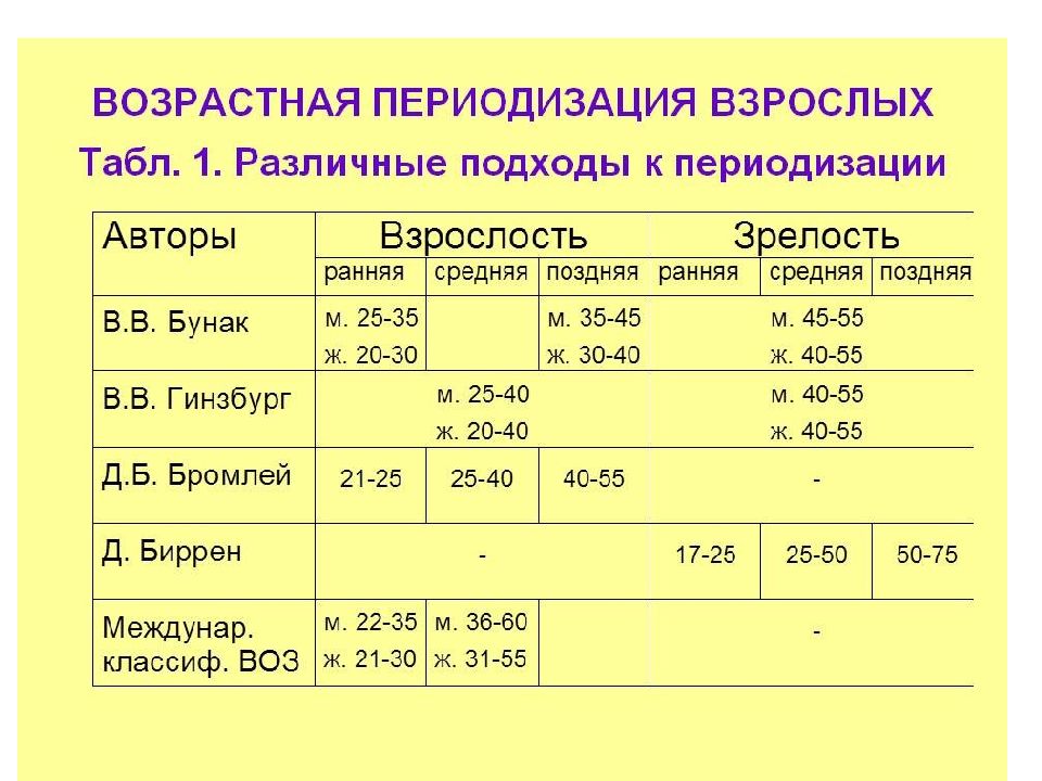 Возрастные рамки детей. Возрастная периодизация. Возрастной период взрослость. Периодизация возраста. Периодизация взрослости.