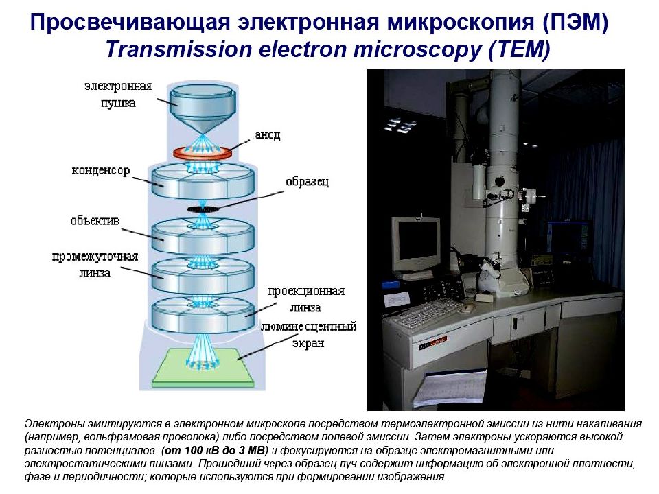 Просвечивающая электронная микроскопия. Просвечивающая электронная микроскопия Пэм. Трансмиссионный электронный микроскоп схема. Просвечивающая электронная микроскопия схема. Просвечивающая электронная микроскопия принцип.