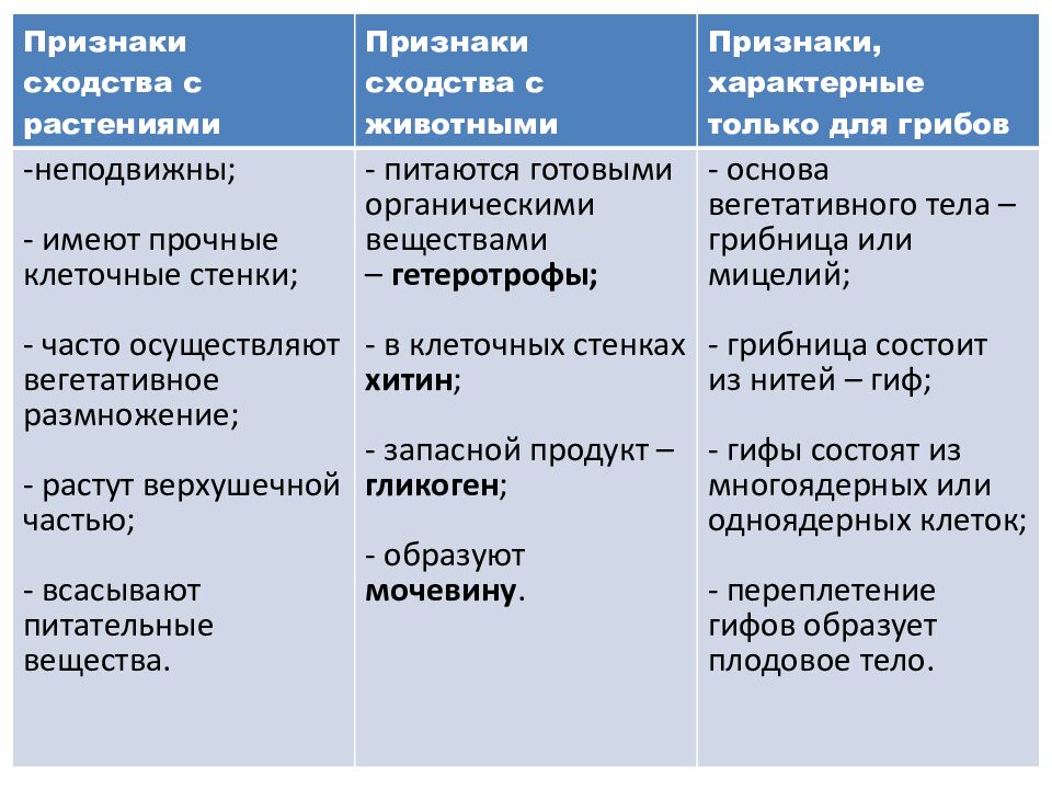 Грибы