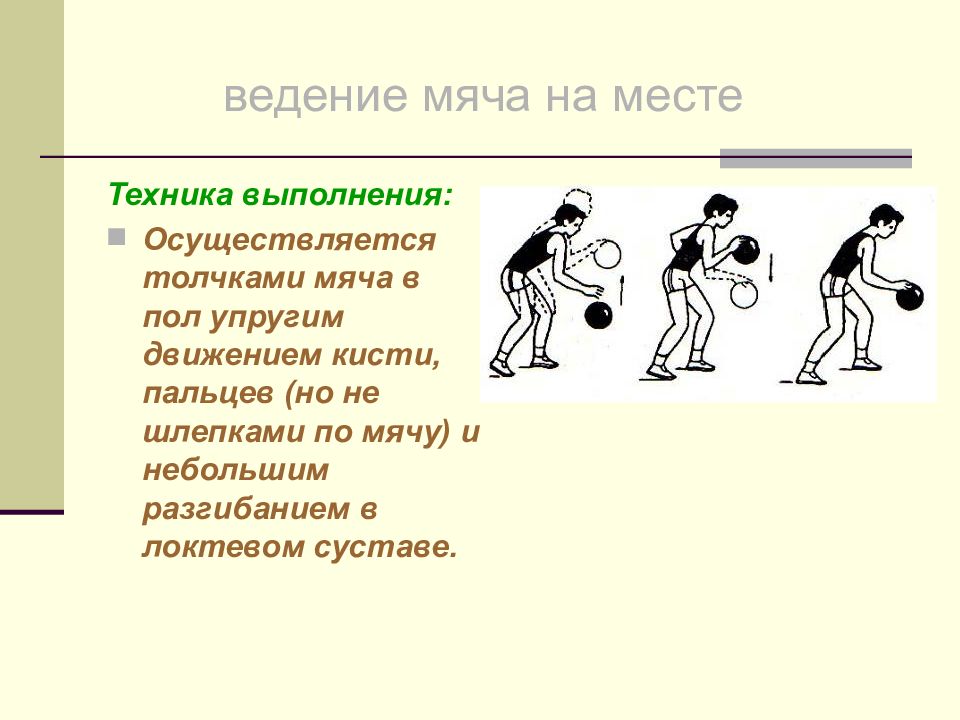 Речь толчок. Техника ведения баскетбольного мяча на месте. Как правильно выполнять ведение мяча. Техника ведения мяча в баскетболе. Ведение мяча на месте в баскетболе техника выполнения.