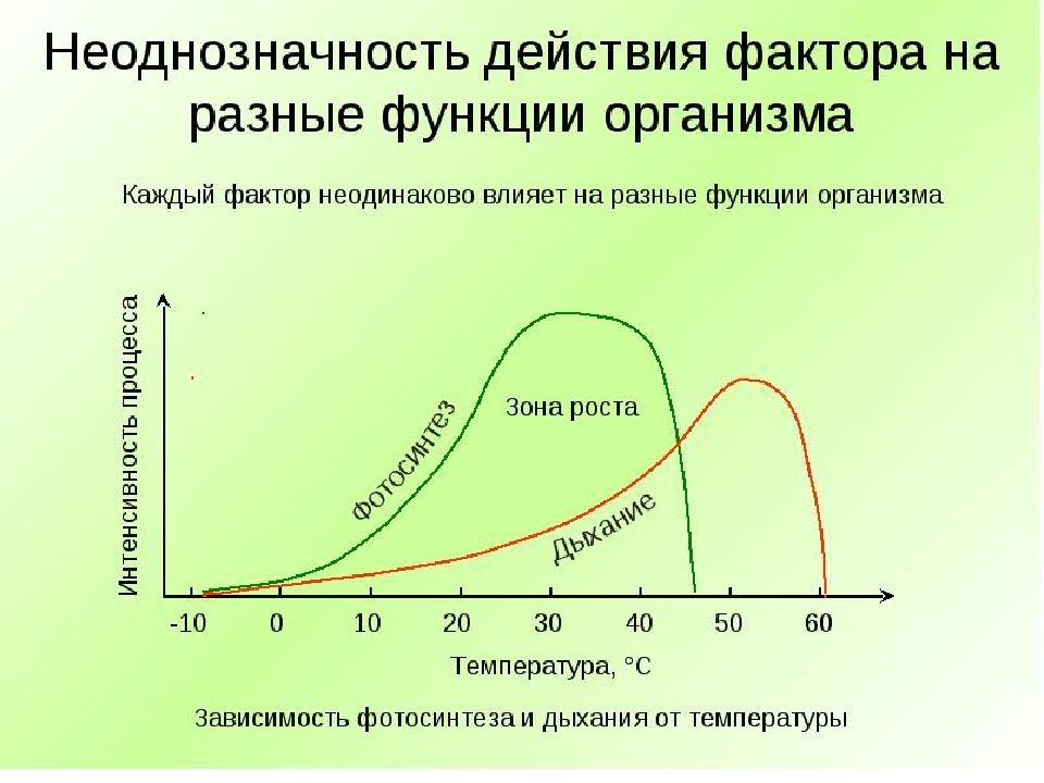 Закономерности действия факторов среды на организмы презентация 9 класс