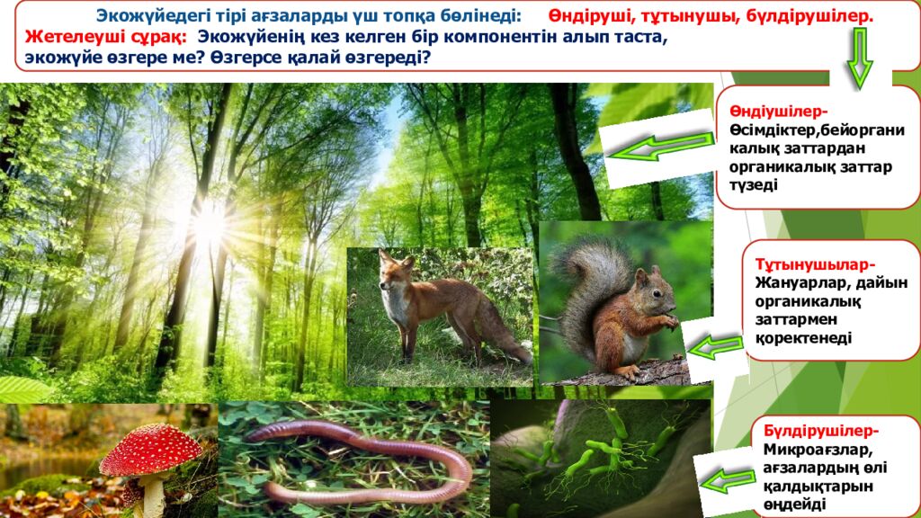 Сабақтың тақырыбы: Экожүйелер Мақсаты: 5.6.1.1 – экожүйенің құрамдас бөліктерін