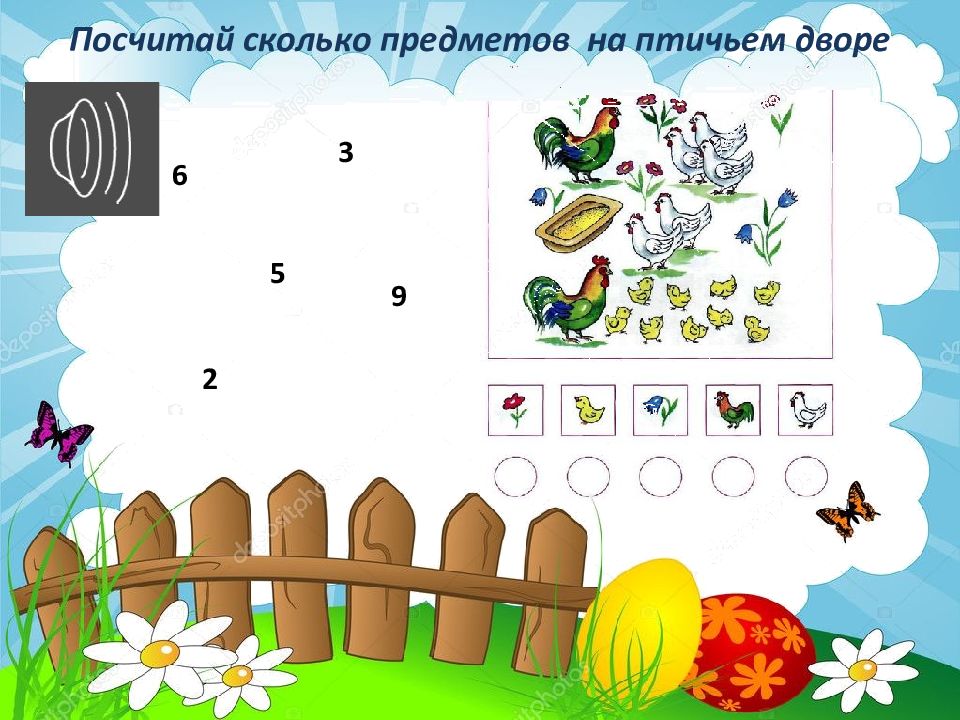 Количество предметов 5 класс. Сколько предметов на фото.