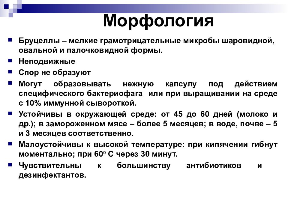 Бруцеллы микробиология презентация