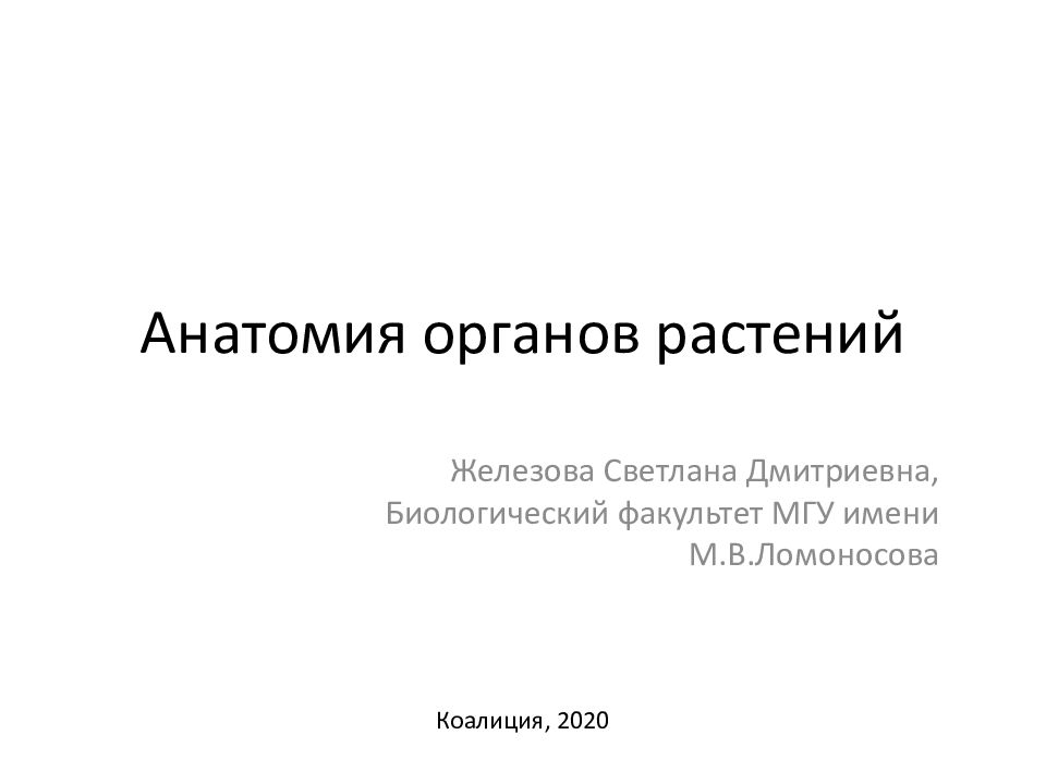 Анатомия органов растений