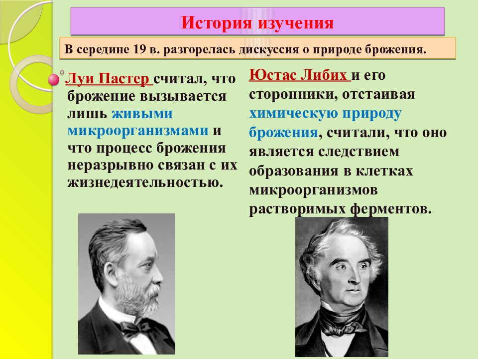 История открытия исследования. История ферментов. История открытия и изучения ферментов. Мтсриия изучения ферментов. Луи Пастер ферменты.