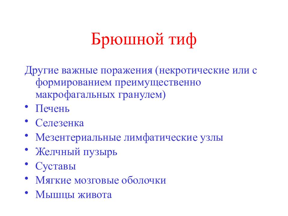 Брюшной тиф это. Брюшной тиф лимфатические узлы. Печень при брюшном тифе.