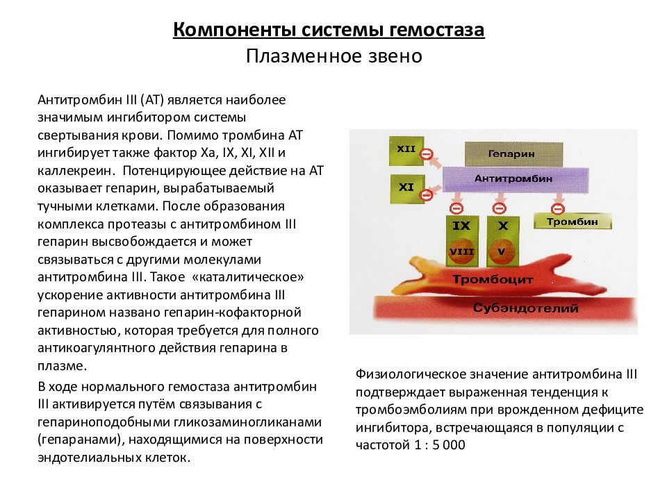 Антитромбин 3 при беременности. Гепарин и антитромбин 3. Активатор антитромбина 3. Антитромбин lll. Антитромбин 3 определение.