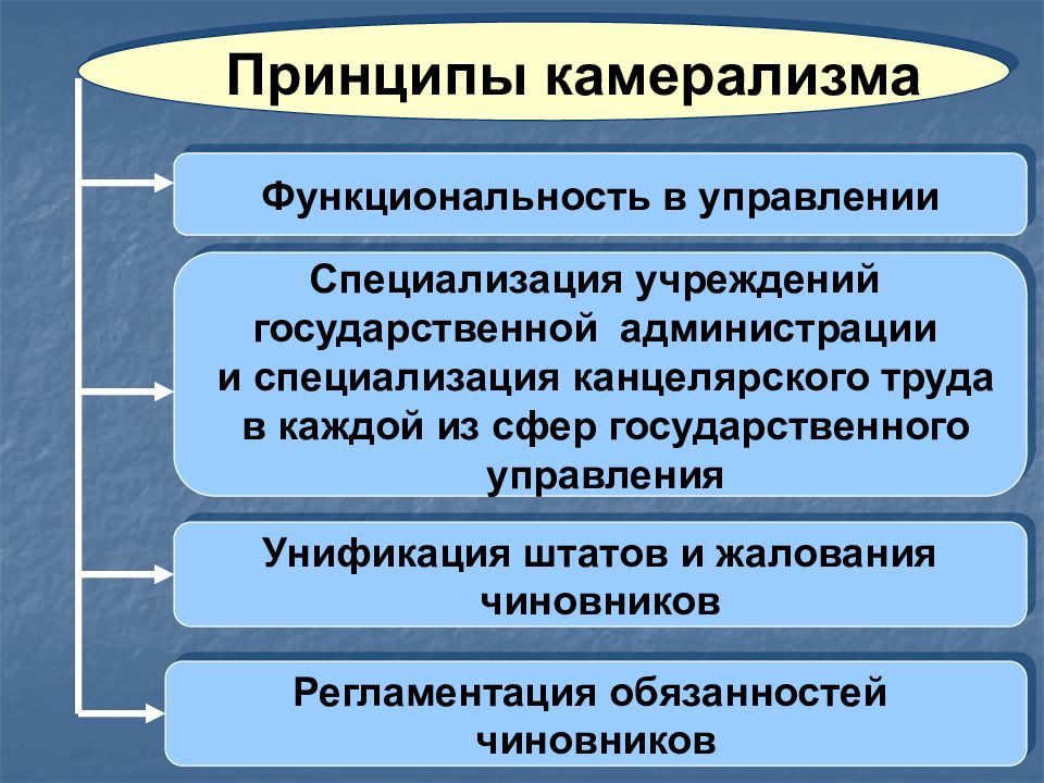 Государственное управление в новое время. Камерализм. Камерализм принципы. Принцип специализации государственного управления. Принципы западноевропейского камерализма.