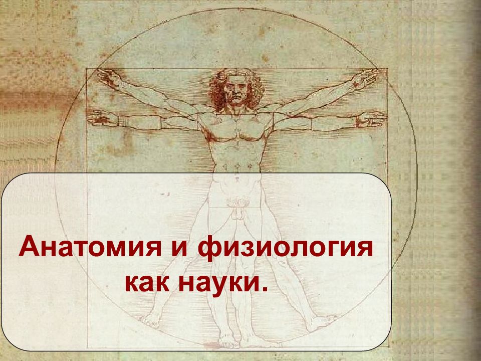 Анатомия и физиология как науки.