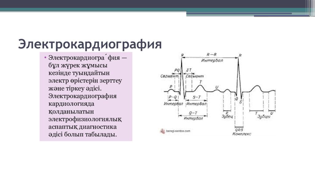 Основы экг презентация