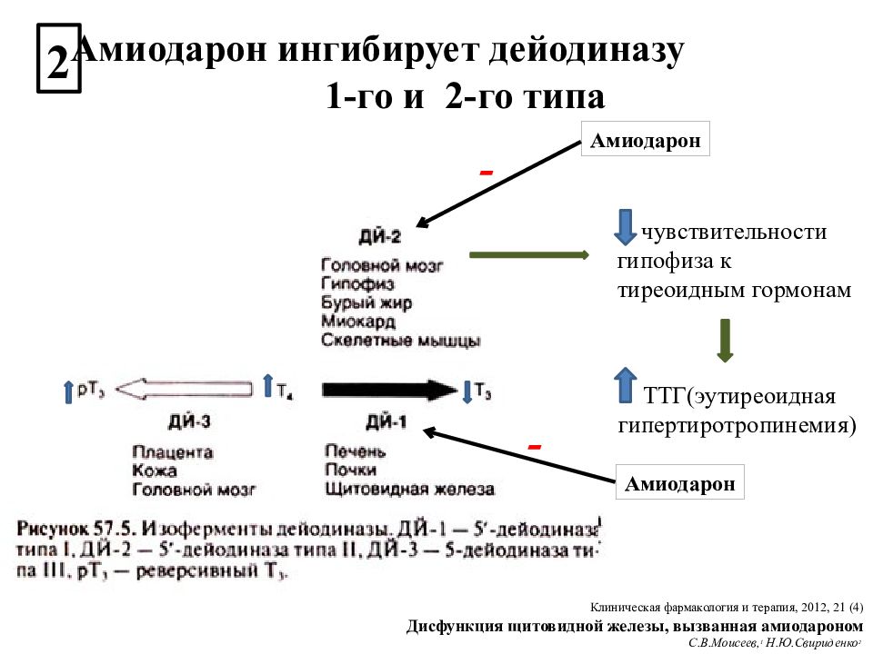 Амиодарон тиреотоксикоз