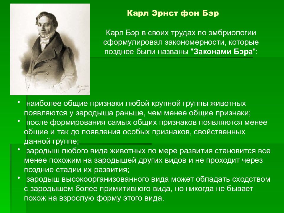 Биология индивидуального развития презентация