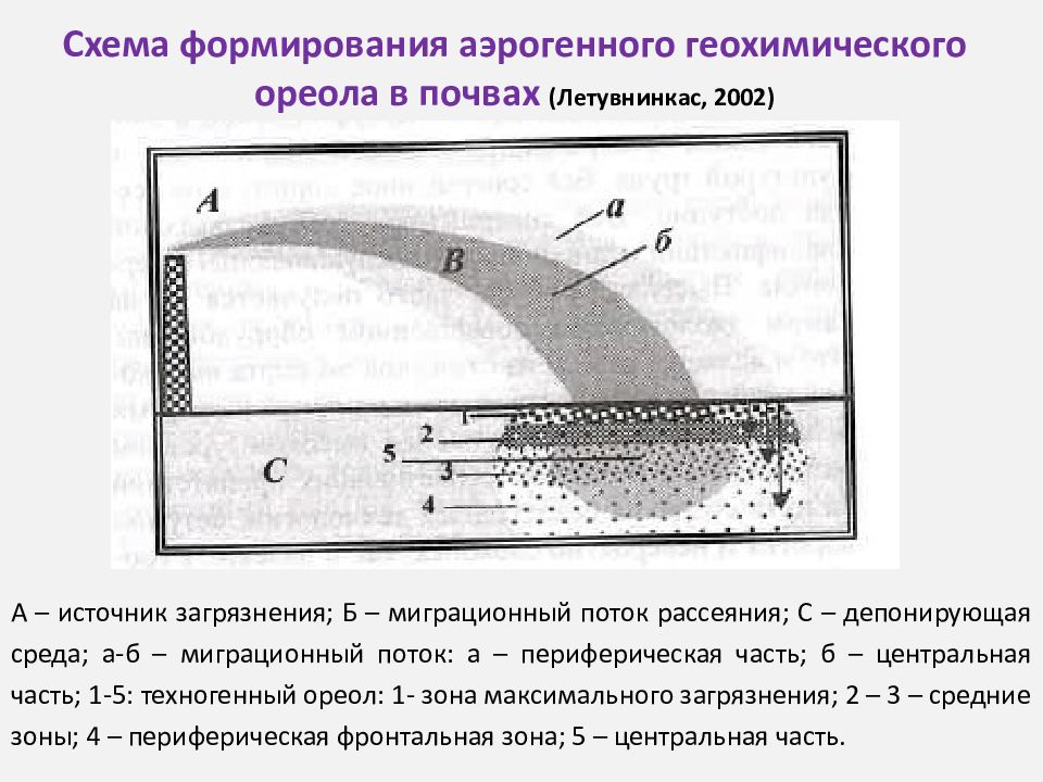 Схема формирования почвы