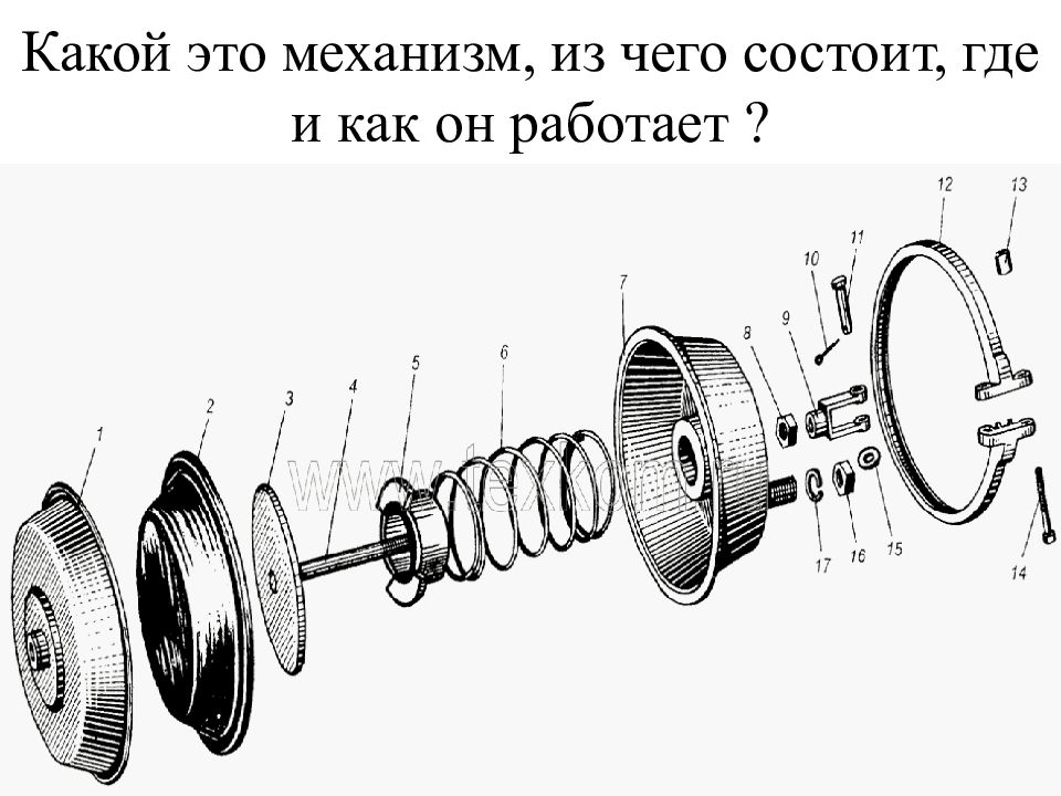 Где состоит. Из чего состоит куда.