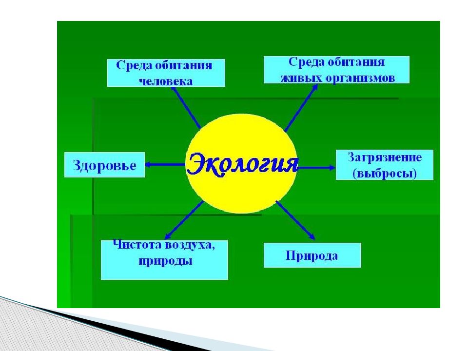 Презентация что изучает экология 11 класс