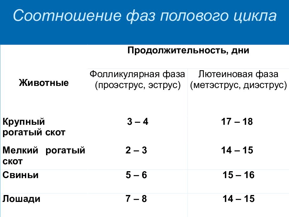 Стадии полового цикла. Продолжительность полового цикла у КРС. Продолжительность полового цикла у разных видов животных. Продолжительность полового цикла у крупного рогатого скота. Стадии полового цикла у животных.