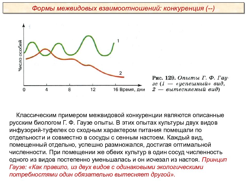 Принцип исключения. Опыт Гаузе с инфузориями. Принцип конкурентного исключения Гаузе опыт с инфузориями. Принцип Гаузе экология. Опыт Гаузе с инфузориями принцип конкурентного.