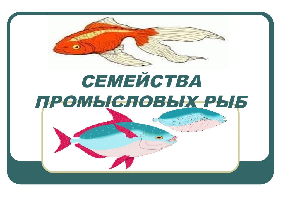 СЕМЕЙСТВА ПРОМЫСЛОВЫХ РЫБ