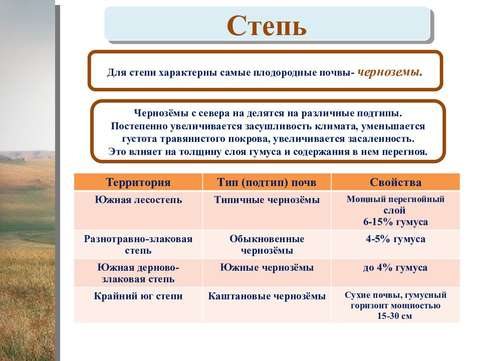 Лесостепи и степи конспект 8 класс. Буклет лесостепи и степи. Лесостепи и степи климат. Степи и лесостепи территории чем предоставляется. Таблица степи и лесостепи география 8 класс.