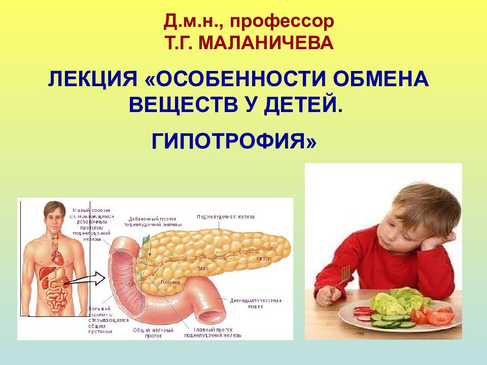 ЛЕКЦИЯ «ОСОБЕННОСТИ ОБМЕНА ВЕЩЕСТВ У ДЕТЕЙ. ГИПОТРОФИЯ»