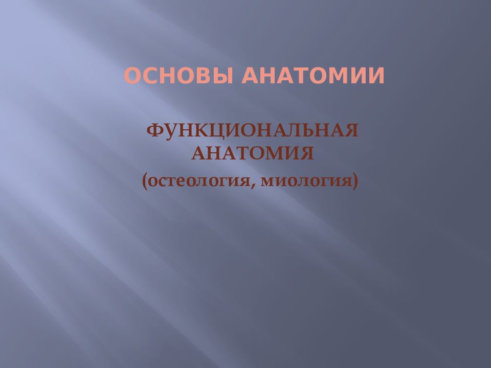 ОСНОВЫ АНАТОМИИ