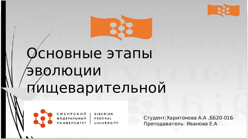 Основные этапы эволюции пищеварительной системы