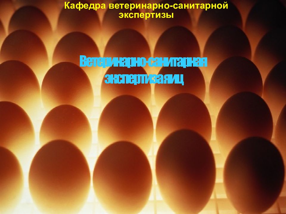 Кафедра ветеринарно-санитарной экспертизы Ветеринарно-санитарная экспертиза яиц