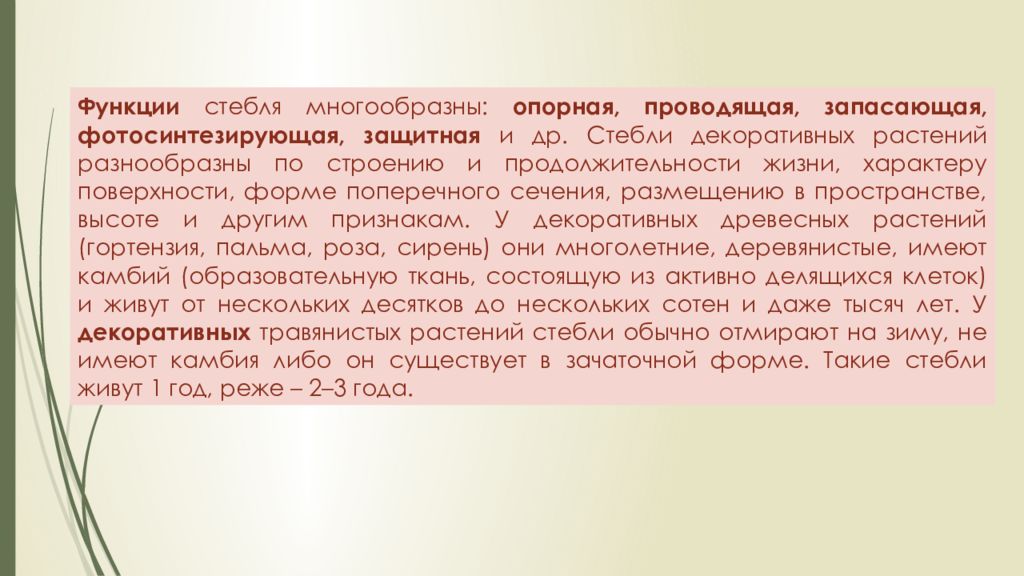 История комнатного цветоводства презентация