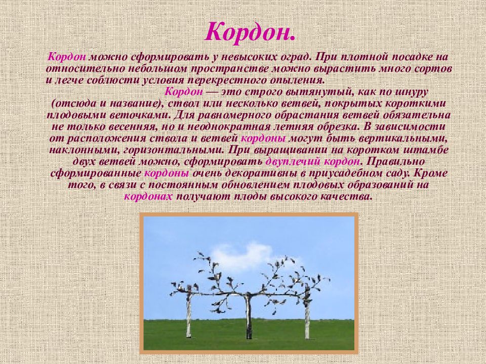 визит центр катунского заповедника. кордон. кордон что означает. кордон что это. алтайский заповедник кардон музей.