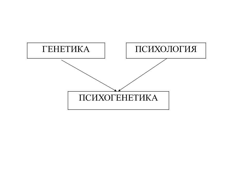 Психогенетика личности презентация