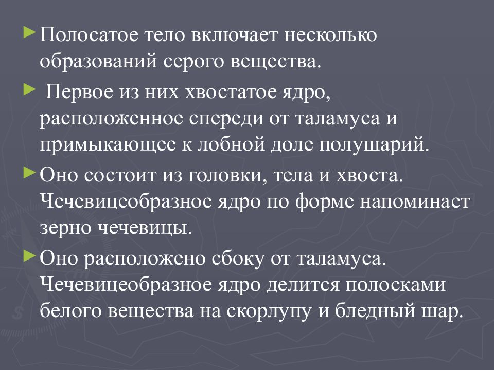 Несколько образований. Полосатое тело образовано. Функции полосатого тела физиология. Полосатое тело функции. Образование полосатого тела и его функции.