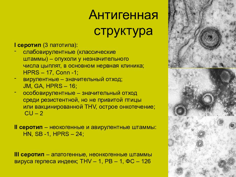 Презентация на тему болезнь