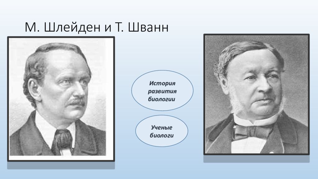 Н м в биологии. Шлейден. Маттиасом Шлейденом. Шлейден и Шванн.