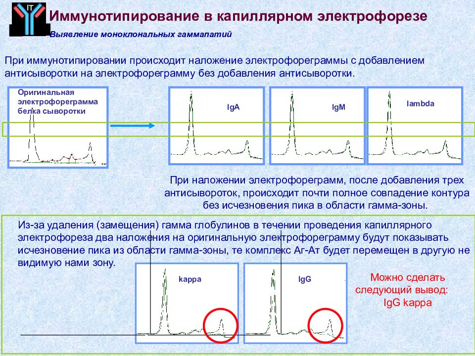 Электрофорез карта осу