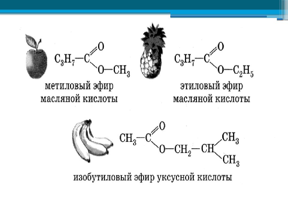 Сложные эфиры презентация