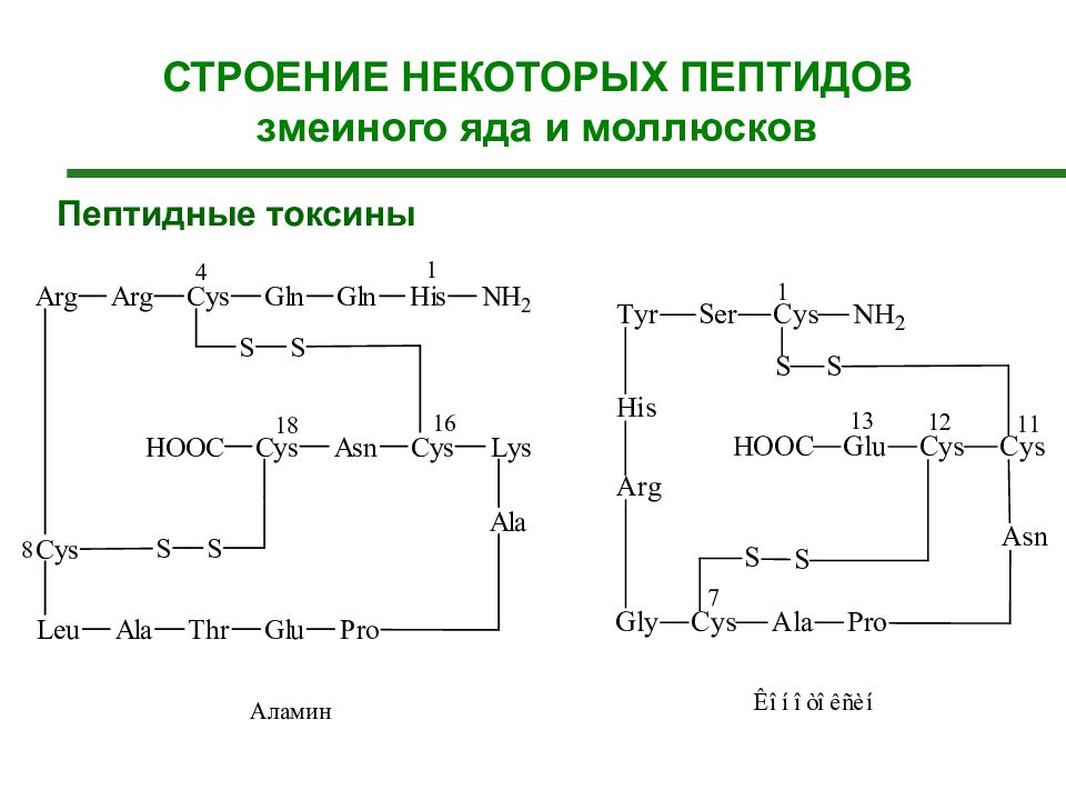 Аминокислоты белки пептиды презентация