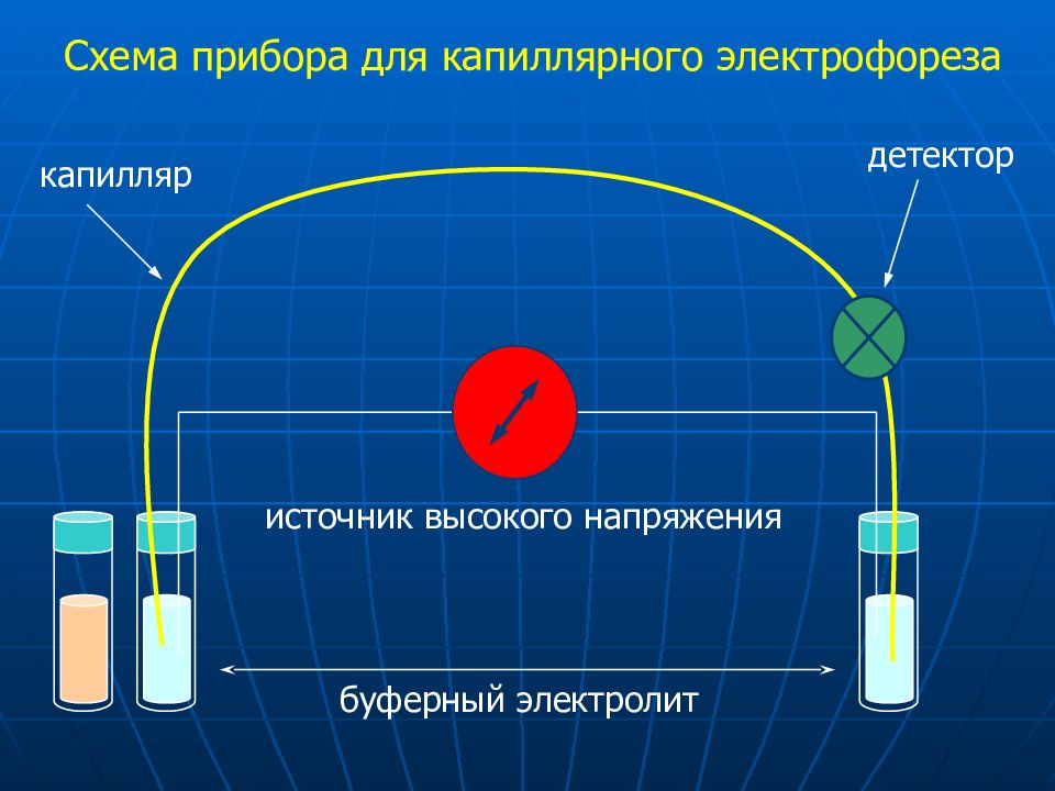 Капиллярный электрофорез презентация