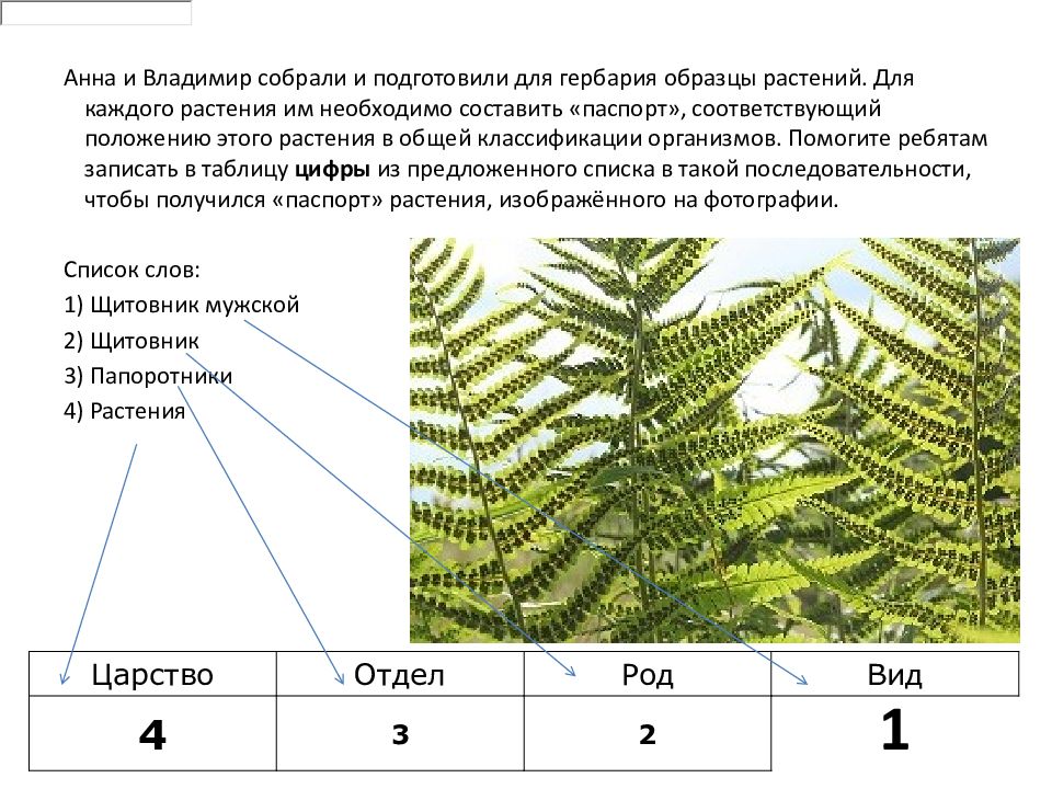 Впр по биологии 2023