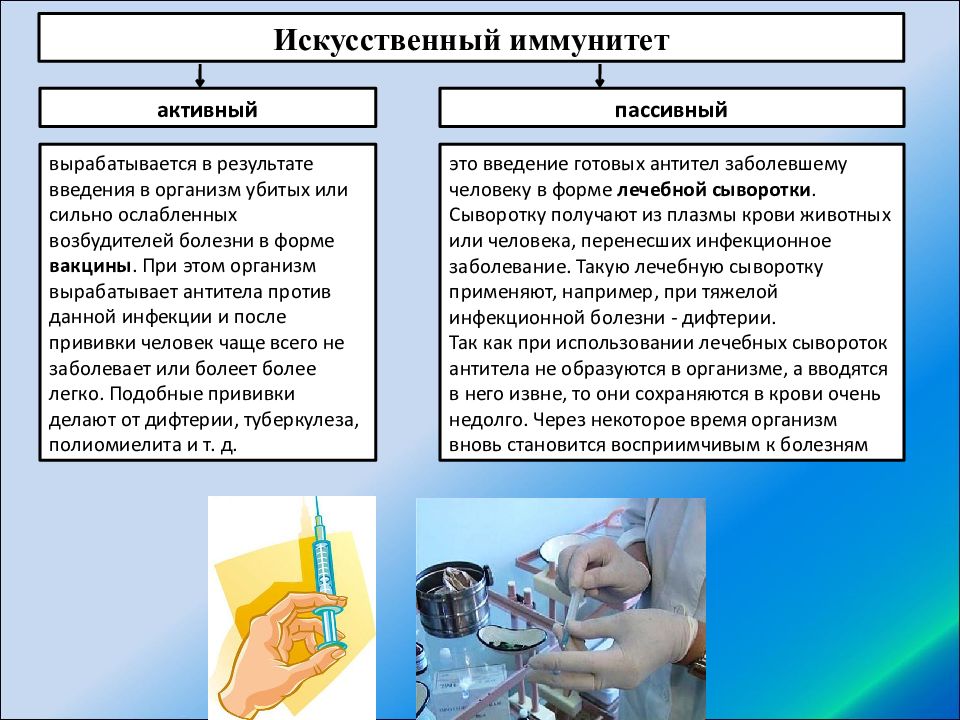 После введения сыворотки формируется. Внутренняя среда организма кровь иммунитет. Внутренняя среда организма кровь иммунитет проверочная. Кровь и иммунитет 8 класс. Внутренняя среда организма кровь иммунитет входной экзамен.