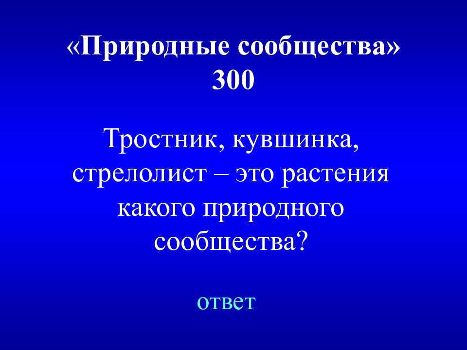 Итоговая презентация 4 класс