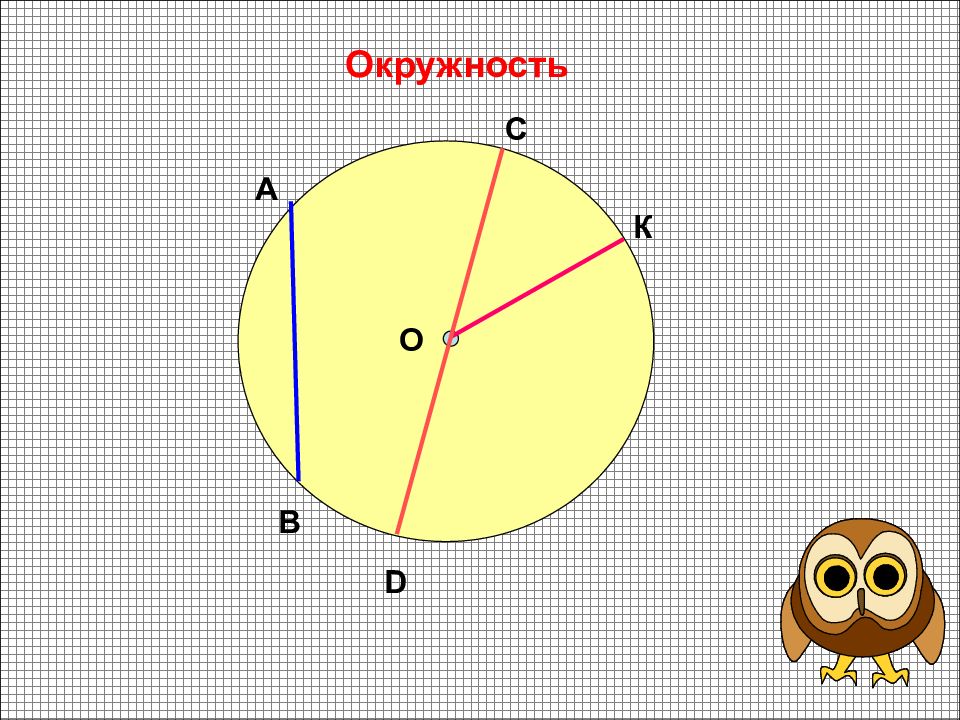 Нарисуй окружность отметь на окружности точку поставь циркуль острым концом