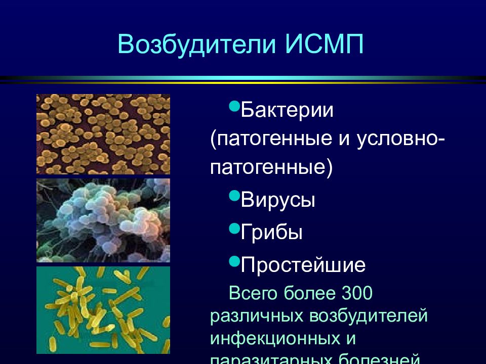 Перечислите группу микроорганизмов