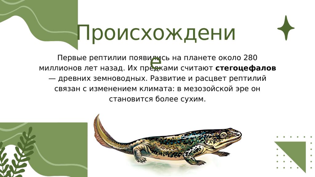 Общая характеристика пресмыкающихся