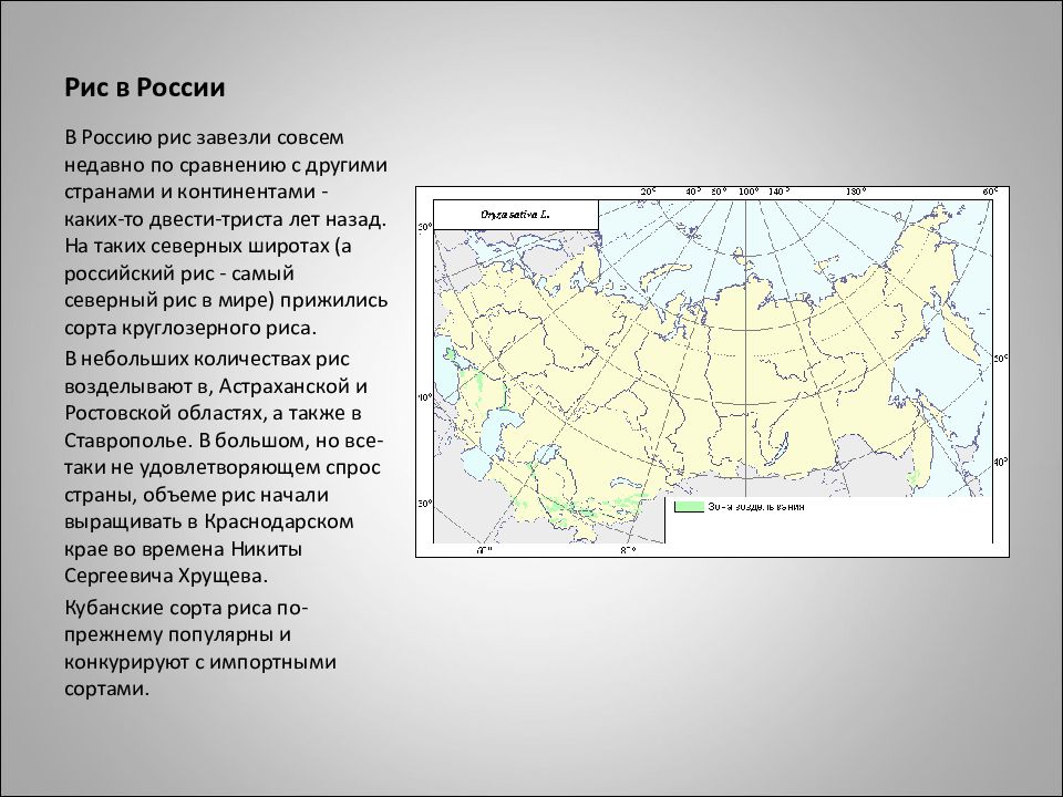 Рис экономические районы. Где выращивают рис в России. Карта выращивания риса в России. Районы где выращивают рис на карте России. Районы выращивания риса в России на карте.