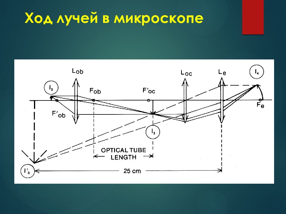 Построение изображения в микроскопе физика