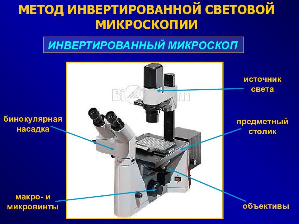 Микроскопическое изучение. Метод микроскопия (микроскопирование). Инвертированный микроскоп iv6200fl. Строение микроскопа макровинт. Методы микроскопии в световом микроскопе.