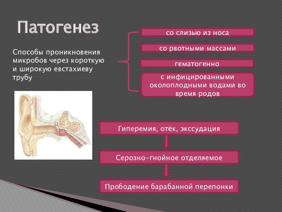 Рожа патогенез. Рожистое воспаление патогенез. Рожа этиопатогенез.